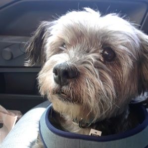 Meet your Posher, Pam